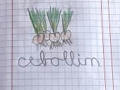 colegio_alianza_americana